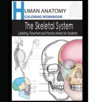 Human Anatomy, A Coloring Workbook of the Complete Skeletal System